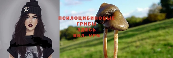 бошки Балахна