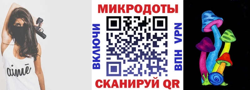 Галлюциногенные грибы Psilocybe  Кущёвская 